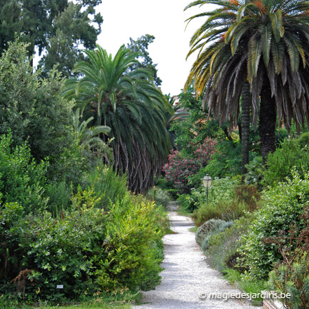 Roma: Jardin Botanique de Rome